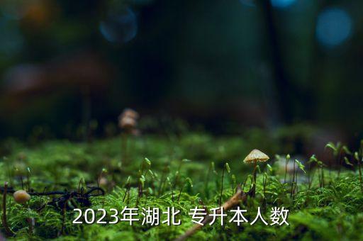 2023年湖北 專升本人數(shù)