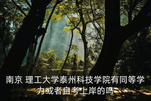 南京 理工大學(xué)泰州科技學(xué)院有同等學(xué)力或者自考上岸的嗎