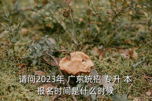 請(qǐng)問(wèn)2023年 廣東統(tǒng)招 專(zhuān)升 本報(bào)名時(shí)間是什么時(shí)候