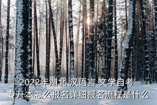 2022年湖北 漢語言 文學(xué)自考 專升本怎么報(bào)名詳細(xì)報(bào)名流程是什么