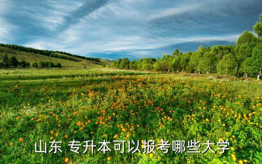 2017山東統(tǒng)招專升本招生計劃,黑龍江統(tǒng)招專升本招生計劃