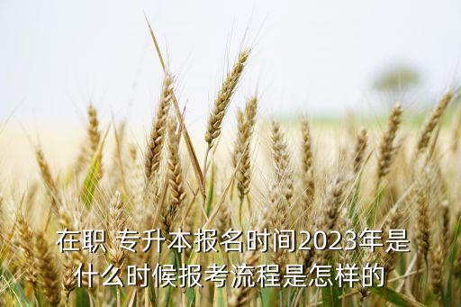  在職 專升本報名時間2023年是什么時候報考流程是怎樣的