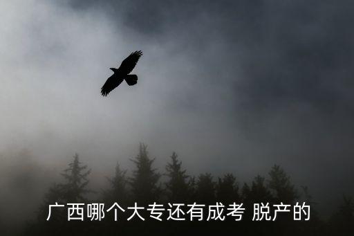  廣西哪個大專還有成考 脫產(chǎn)的