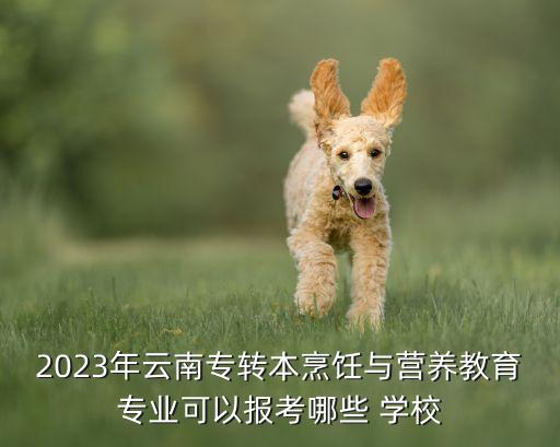 2023年云南專轉(zhuǎn)本烹飪與營養(yǎng)教育專業(yè)可以報(bào)考哪些 學(xué)校