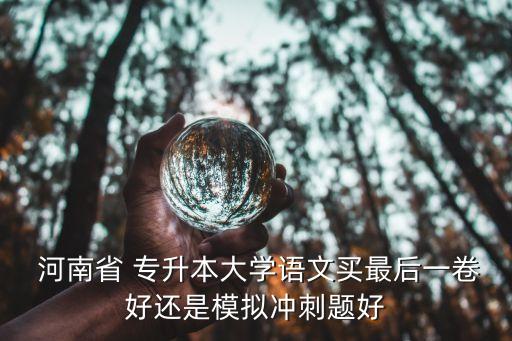  河南省 專升本大學語文買最后一卷好還是模擬沖刺題好