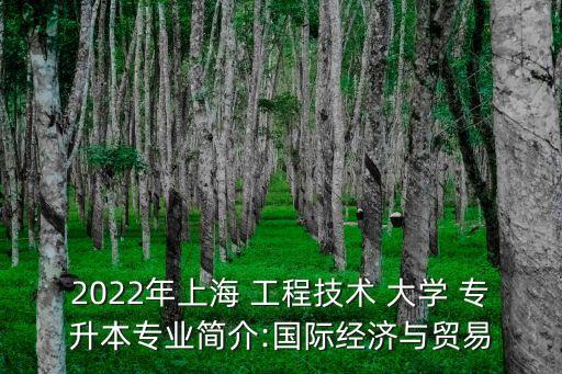 上海工程技術大學專升本招生簡章,2023年上海工程技術大學專升本招生簡章