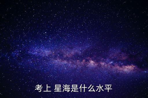 考上 星海是什么水平