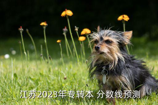  江蘇2023年專轉(zhuǎn)本 分?jǐn)?shù)線預(yù)測