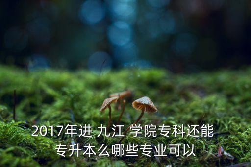 2017年進(jìn) 九江 學(xué)院?？七€能 專升本么哪些專業(yè)可以