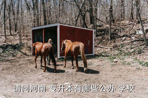 商丘師范專升本學校