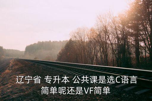  遼寧省 專升本 公共課是選C語言簡單呢還是VF簡單