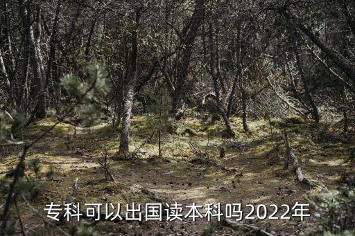 專(zhuān)科可以出國(guó)讀本科嗎2022年