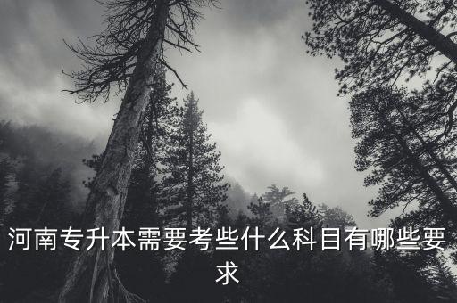 鄭大專升本考什么,鄭大護(hù)理專升本分?jǐn)?shù)線