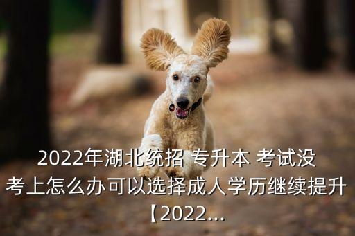 2022年湖北統(tǒng)招 專升本 考試沒考上怎么辦可以選擇成人學(xué)歷繼續(xù)提升【2022...