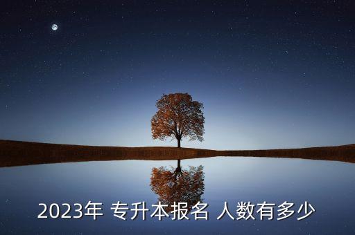 2023年 專(zhuān)升本報(bào)名 人數(shù)有多少