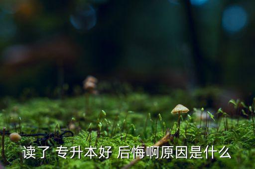 讀專升本后悔了,有沒(méi)有人因?yàn)樽x了專升本而后悔的?