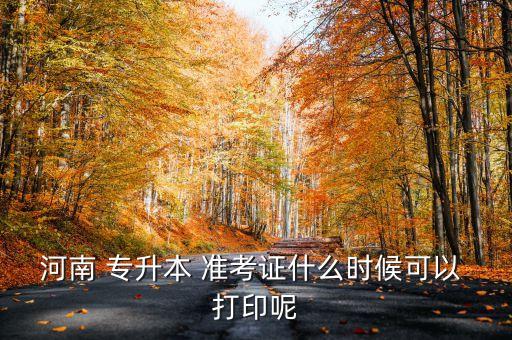 專升本準(zhǔn)考證打印多大