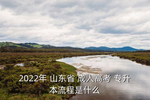 2022年 山東省 成人高考 專升本流程是什么