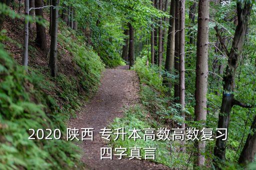 2020 陜西 專升本高數(shù)高數(shù)復(fù)習(xí)四字真言