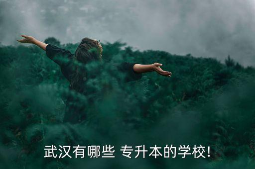 武漢有哪些 專升本的學(xué)校!