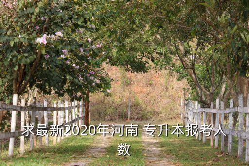 求最新2020年河南 專升本報(bào)考人數(shù)