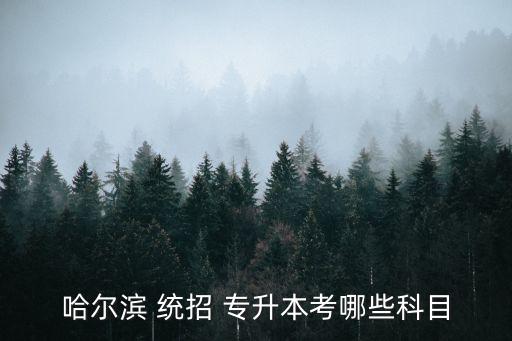 哈爾濱 統(tǒng)招 專升本考哪些科目