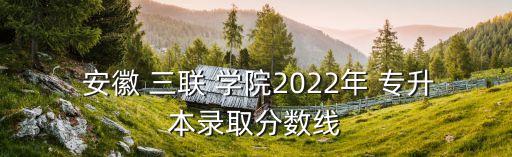  安徽 三聯(lián) 學院2022年 專升本錄取分數(shù)線