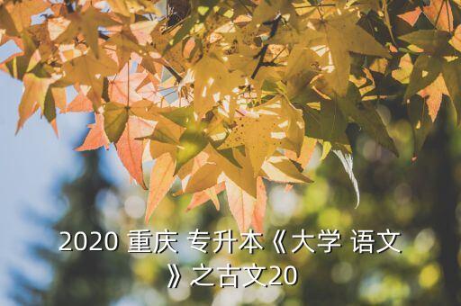 2020 重慶 專升本《大學(xué) 語文》之古文20