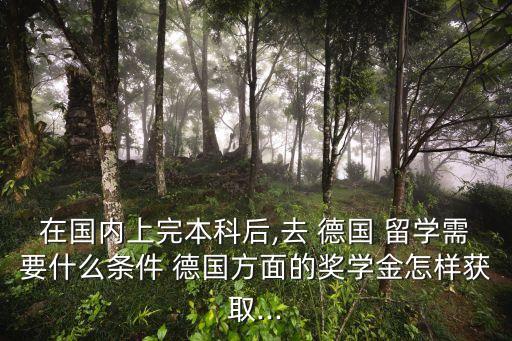 在國內(nèi)上完本科后,去 德國 留學需要什么條件 德國方面的獎學金怎樣獲取...