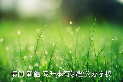 請問 新疆 專升本有哪些公辦學(xué)校