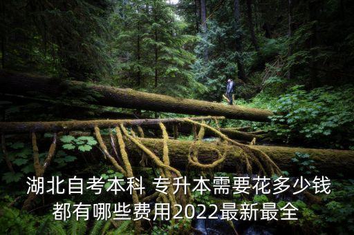  湖北自考本科 專升本需要花多少錢都有哪些費用2022最新最全