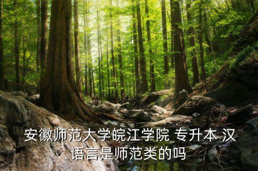  安徽師范大學(xué)皖江學(xué)院 專升本 漢語言是師范類的嗎