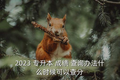 2023 專升本 成績 查詢辦法什么時候可以查分