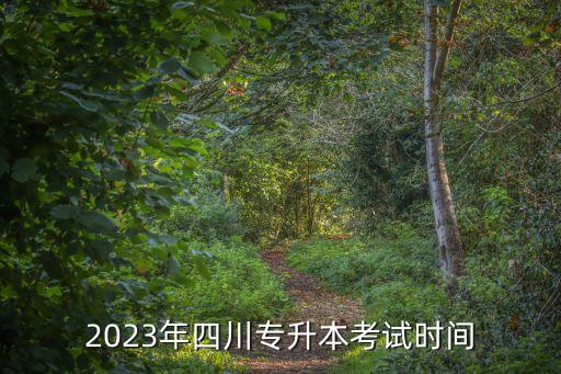 2023年四川專升本考試時間