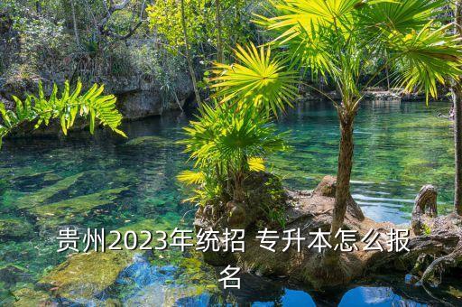  貴州2023年統(tǒng)招 專升本怎么報(bào)名