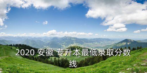 安徽成人專升本成績查詢,2022成人專升本成績查詢