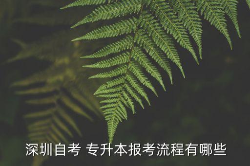  深圳自考 專升本報考流程有哪些