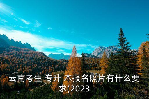 云南考生 專升 本報名照片有什么要求(2023