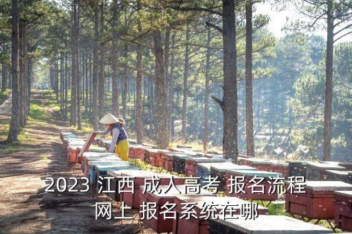 2023 江西 成人高考 報名流程網(wǎng)上 報名系統(tǒng)在哪