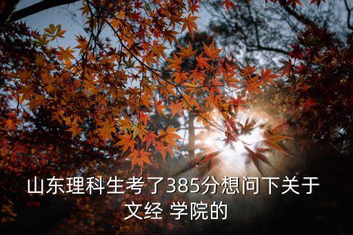 山東理科生考了385分想問下關(guān)于 文經(jīng) 學(xué)院的