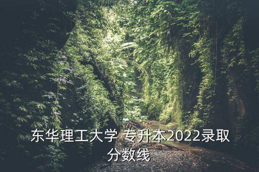  東華理工大學(xué) 專(zhuān)升本2022錄取分?jǐn)?shù)線