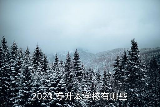 2023 專升本學校有哪些