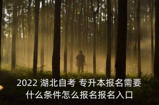 2022 湖北自考 專升本報名需要什么條件怎么報名報名入口