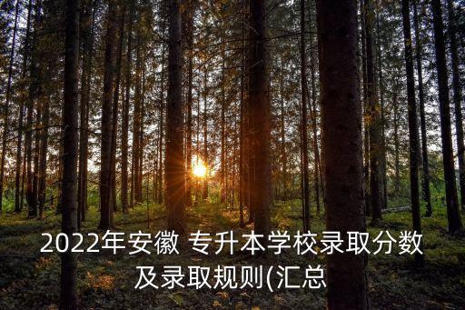 2022年安徽 專升本學校錄取分數(shù)及錄取規(guī)則(匯總