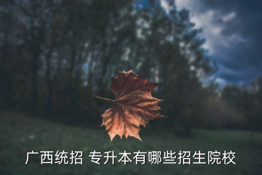 廣西統(tǒng)招 專升本有哪些招生院校