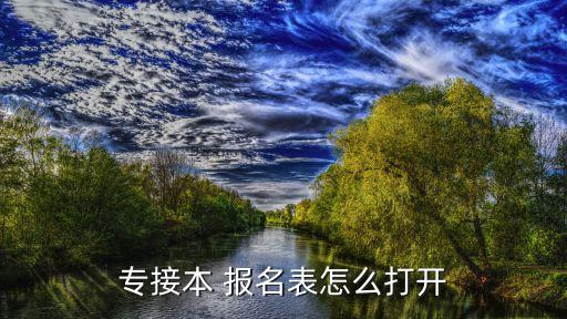 專升本報名表格式,河南專升本報名表