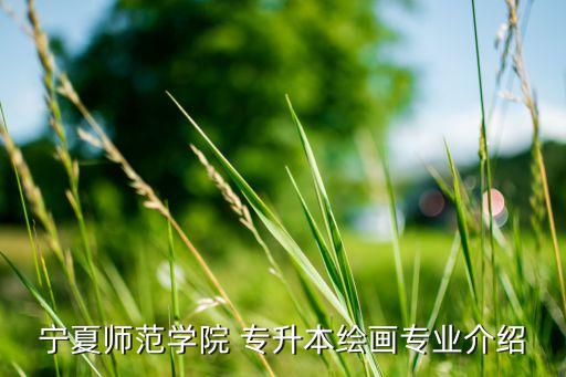 寧夏師范學(xué)院 專升本繪畫專業(yè)介紹