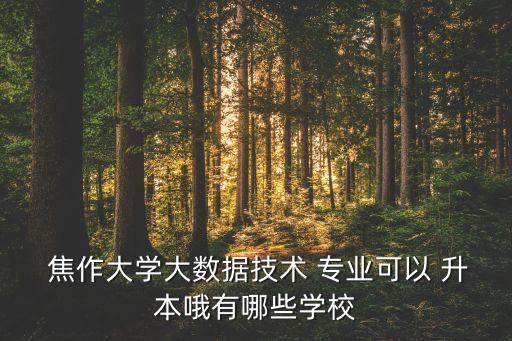 焦作師專升本的專業(yè),焦作專升本培訓機構有哪些