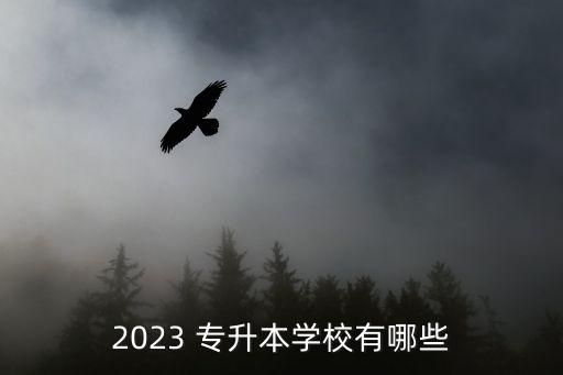 2023 專升本學校有哪些