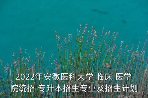 2022年安徽醫(yī)科大學(xué) 臨床 醫(yī)學(xué)院統(tǒng)招 專升本招生專業(yè)及招生計劃